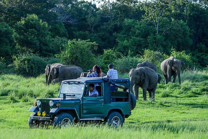 Safari jeep with visitors observing elephants in Sri Lanka